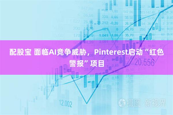 配股宝 面临AI竞争威胁，Pinterest启动“红色警报”项目