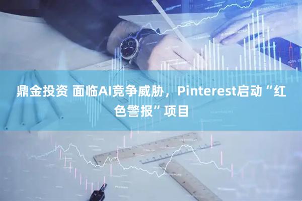 鼎金投资 面临AI竞争威胁，Pinterest启动“红色警报”项目