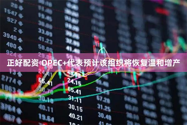 正好配资 OPEC+代表预计该组织将恢复温和增产