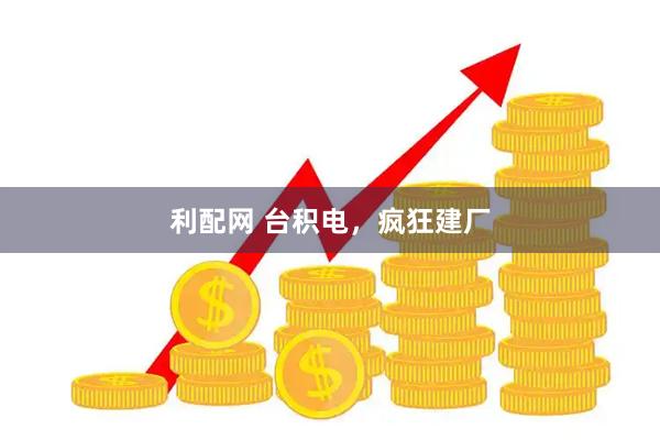 利配网 台积电，疯狂建厂