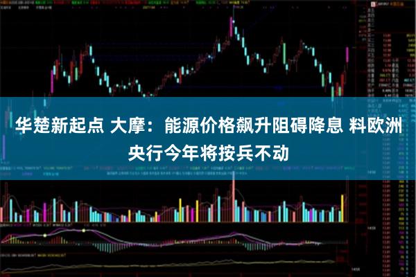 华楚新起点 大摩：能源价格飙升阻碍降息 料欧洲央行今年将按兵不动