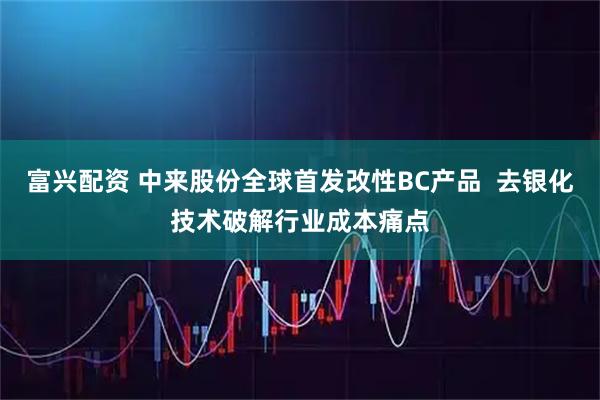 富兴配资 中来股份全球首发改性BC产品  去银化技术破解行业成本痛点