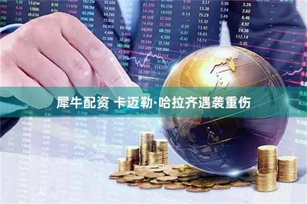 犀牛配资 卡迈勒·哈拉齐遇袭重伤