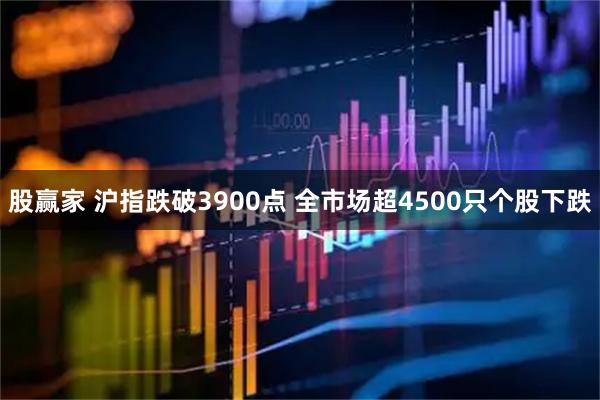 股赢家 沪指跌破3900点 全市场超4500只个股下跌