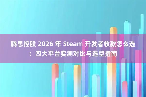 腾思控股 2026 年 Steam 开发者收款怎么选：四大平台实测对比与选型指南