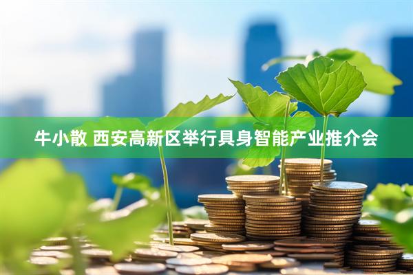 牛小散 西安高新区举行具身智能产业推介会